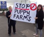 Dogs4Us protest Salford